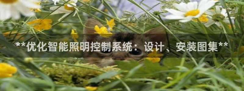 云顶国际服更新公告