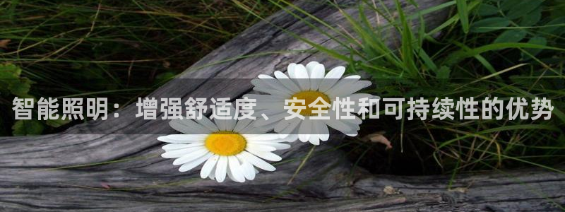 云顶国际和百姓渔村哪家好