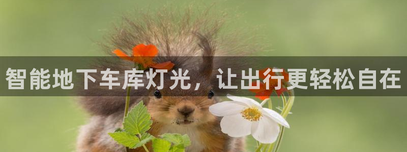 云顶国际KTV