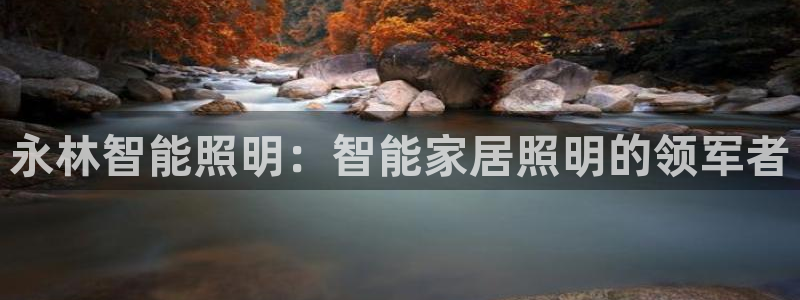 云顶国际版