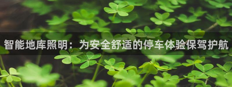 云顶国际大厦地址