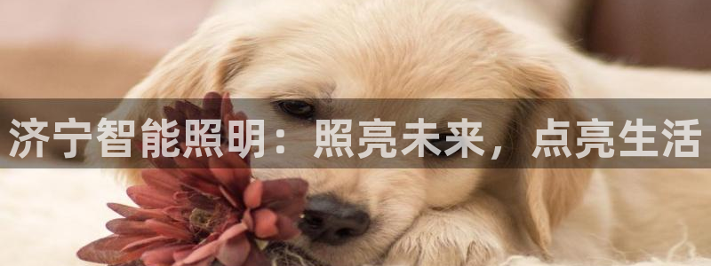 云顶集团优惠申请大厅