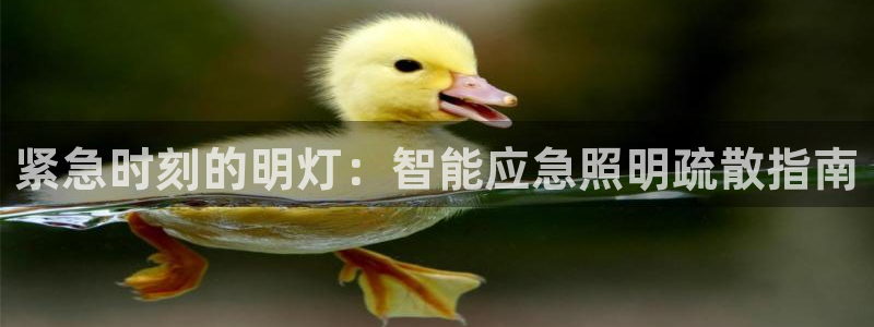 云顶国际缆车起点在哪里啊多少钱