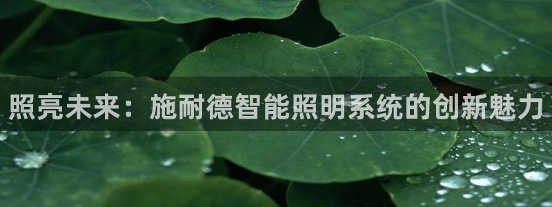 云顶国际提现让你拍身份证