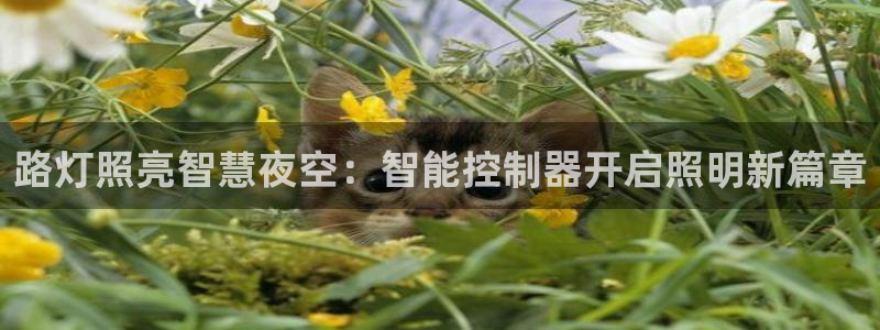 淮北云顶国际洗浴电话