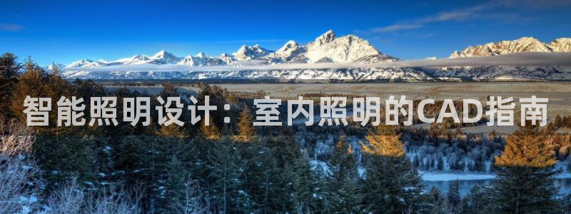 云顶国际区块链怎么样啊