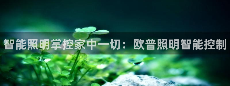 云顶国际服什么时候更新s9.5