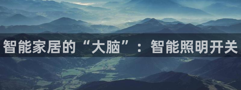 云顶集团林东简介