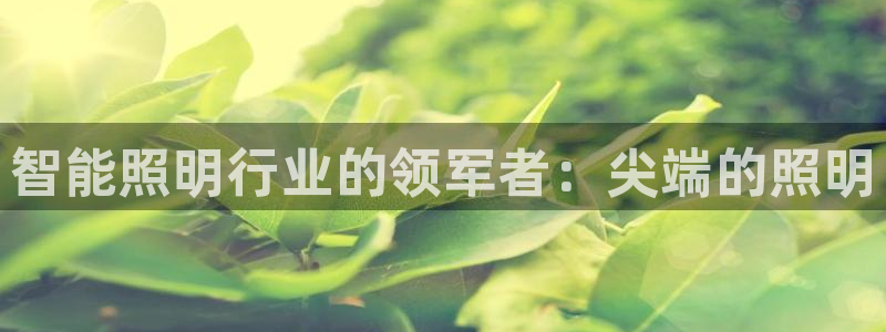 云顶国际创始人是谁呀