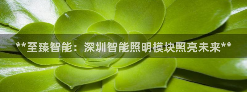 云顶集团网页
