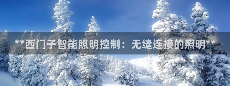 云顶集团最新官方网站入口