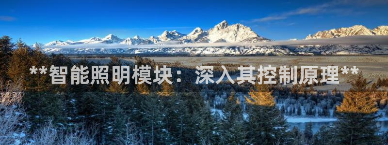 云顶app官网