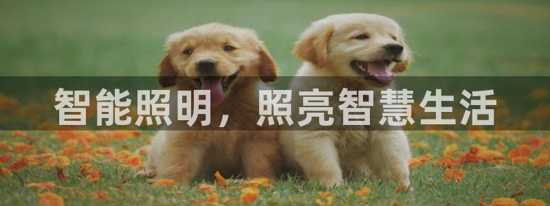 云顶国际注册存款