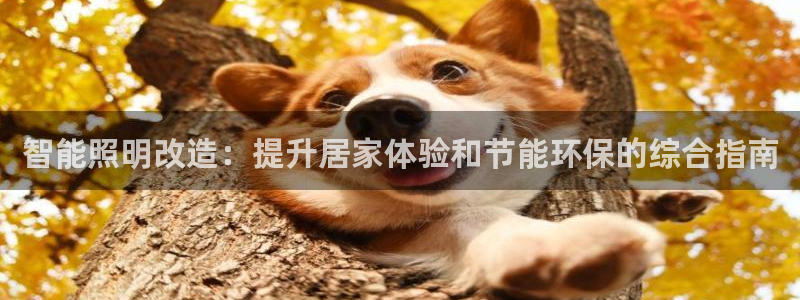 云顶国际酒店位置