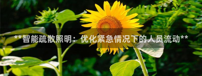云顶国际和百姓渔村