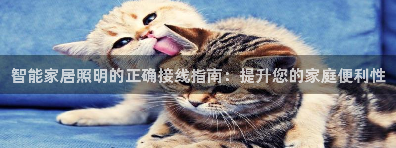 云顶国际物流官网网址