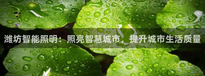 云顶8888