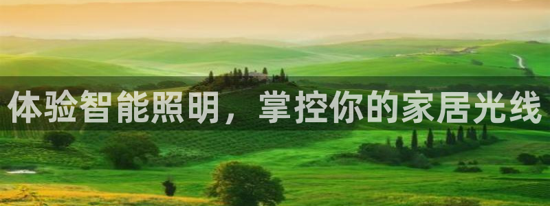 2418云顶