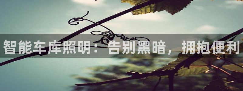 云顶国际晟荣协会会长是谁