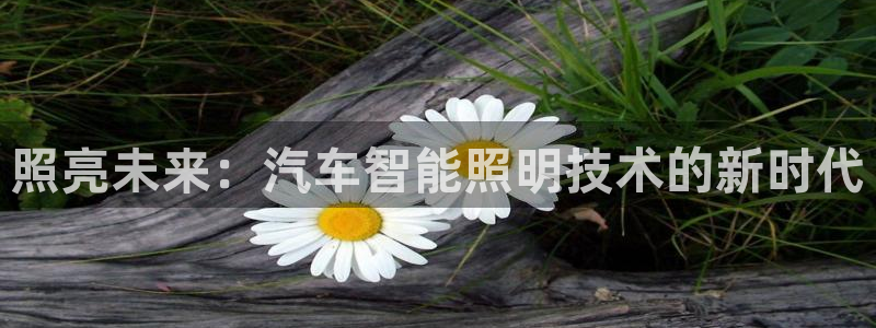 云顶国际商业广场a座101室