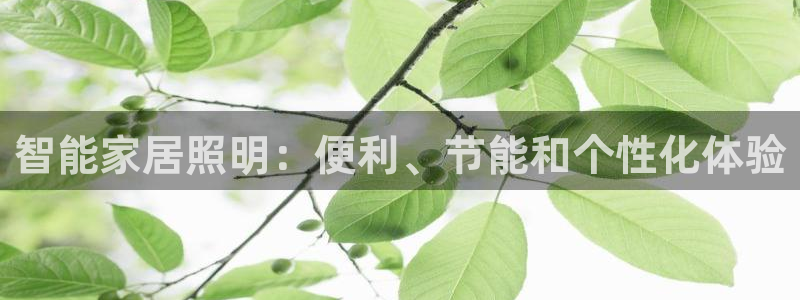 云顶国际网站进不去了