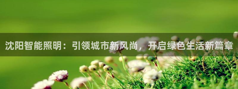 云顶集团网投领头