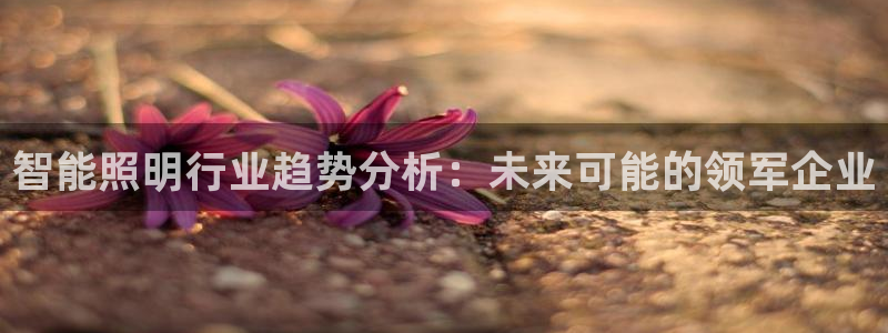 云顶国际平台游戏官网入口