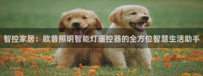 云顶集团app免费下载安装
