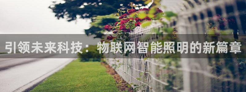 云顶国际会所在哪里