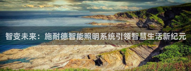 云顶高中国际部学费