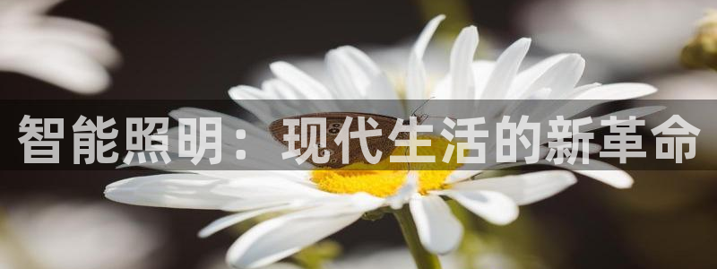 云顶国际服修改不了传说装备