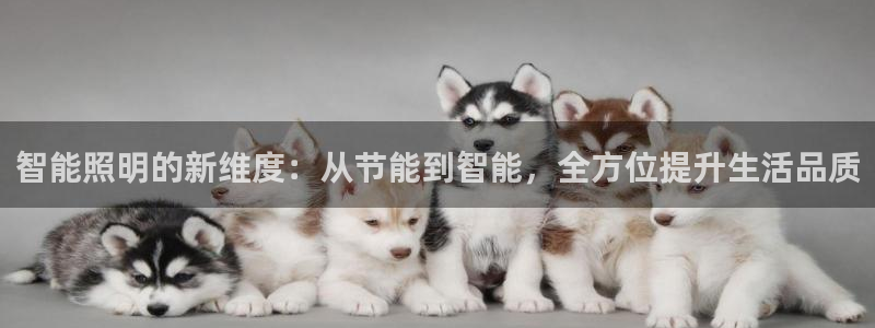云顶国际会所