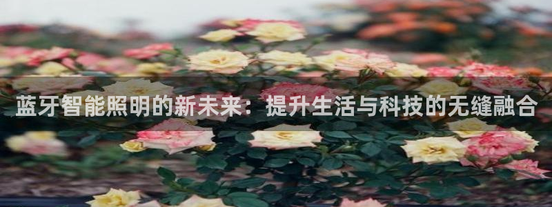云顶集团3118