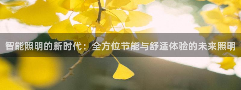 yd2333云顶电子：智能照明的新时代：