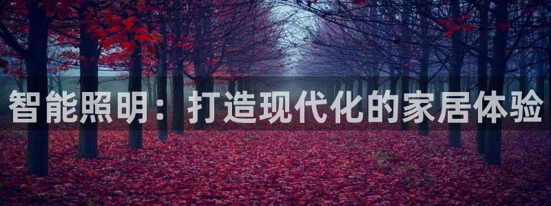 云顶国际体育