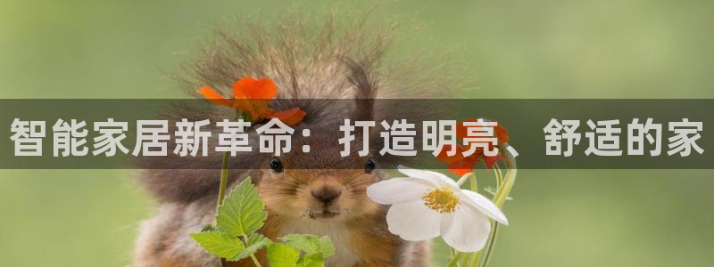 云顶国际游戏平台53m