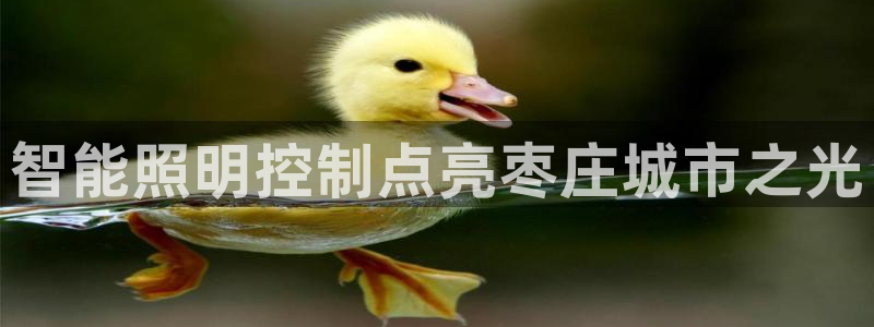 云顶国际下载