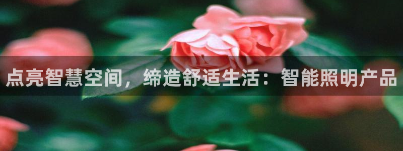 云顶集团存76送76