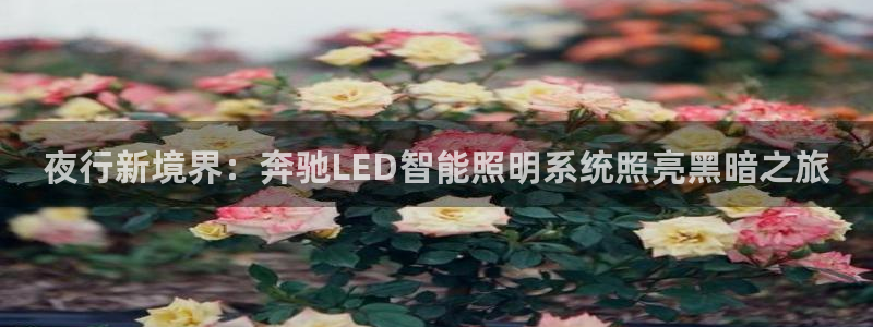 lol云顶1v0