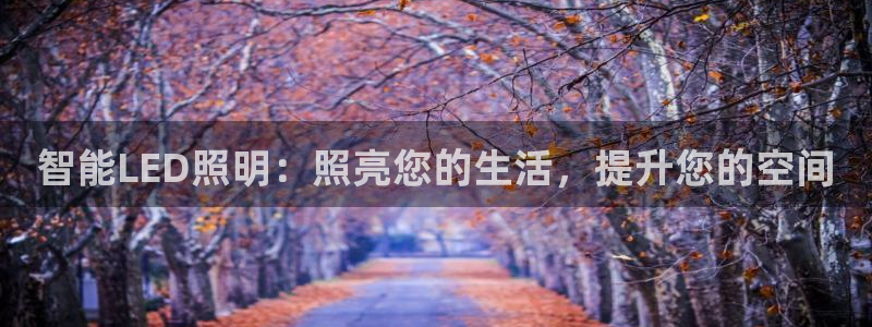 云顶国际服更新了吗