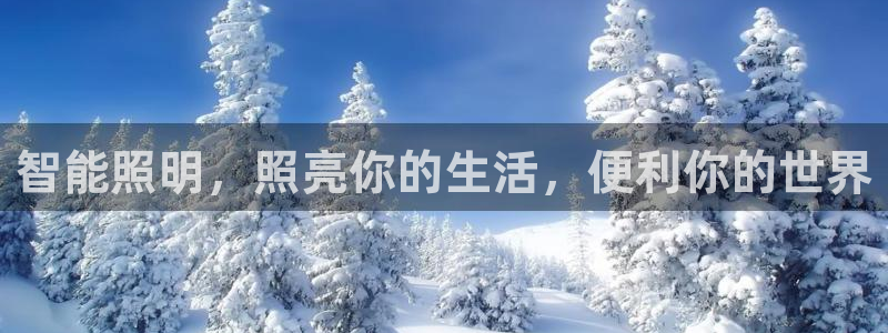 云顶国际二手房出售