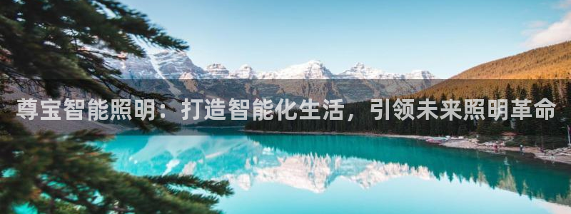 云顶国际是不是真的吗