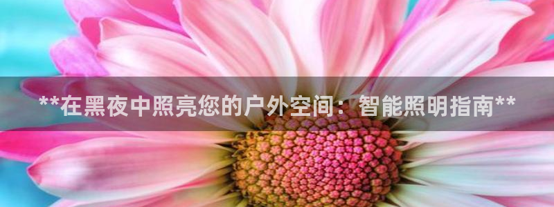 云顶国际唯一官网