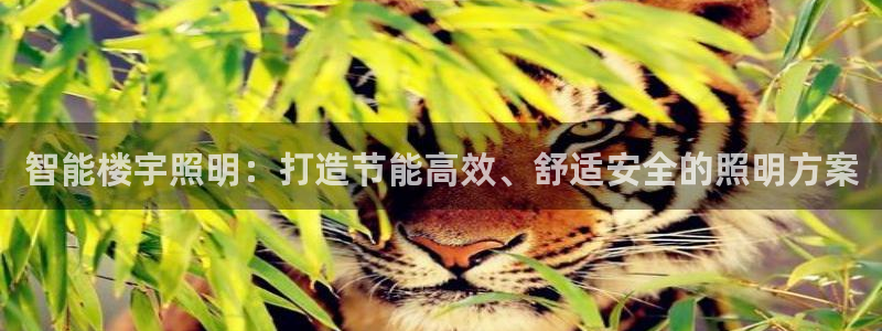 云顶国际8588yd