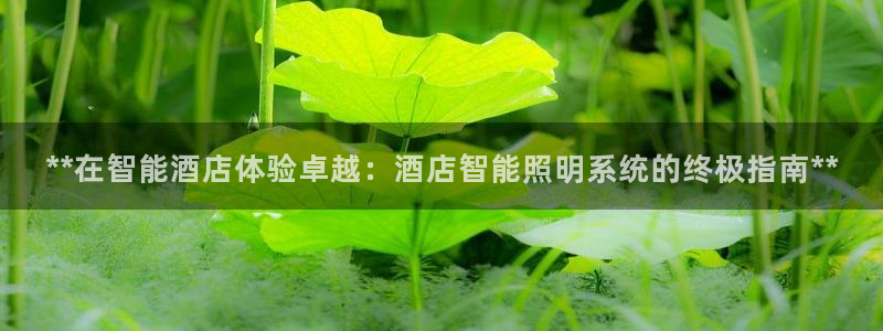 云顶国际平台是真的吗