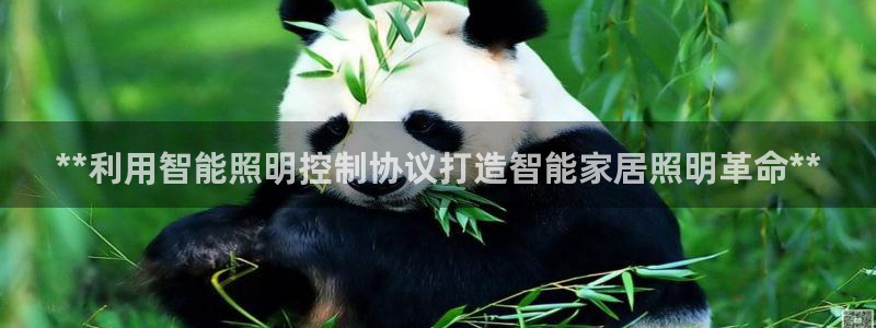 云顶集团老总是谁