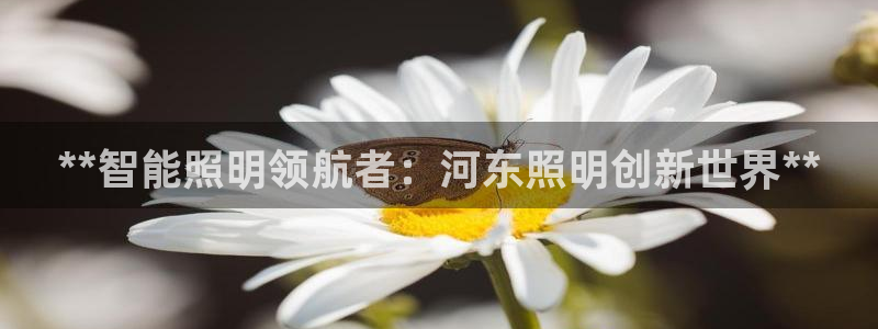 中国云顶集团