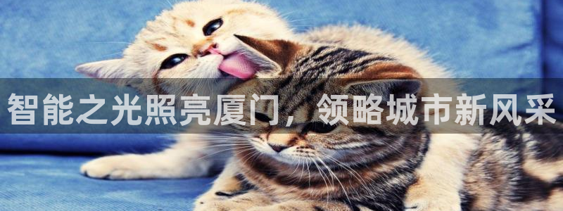 手游云顶国际服下载