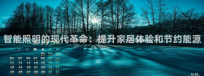 云顶国际酒店老板