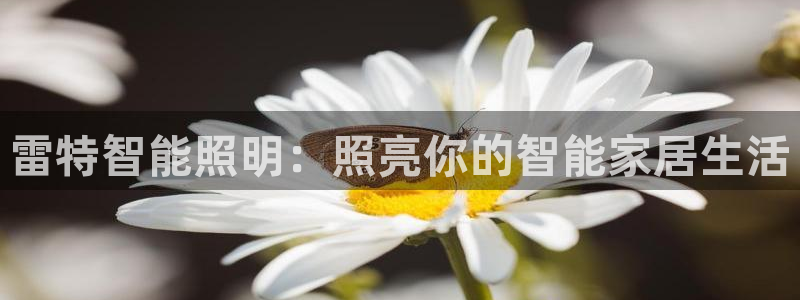 云顶集团王天才简介